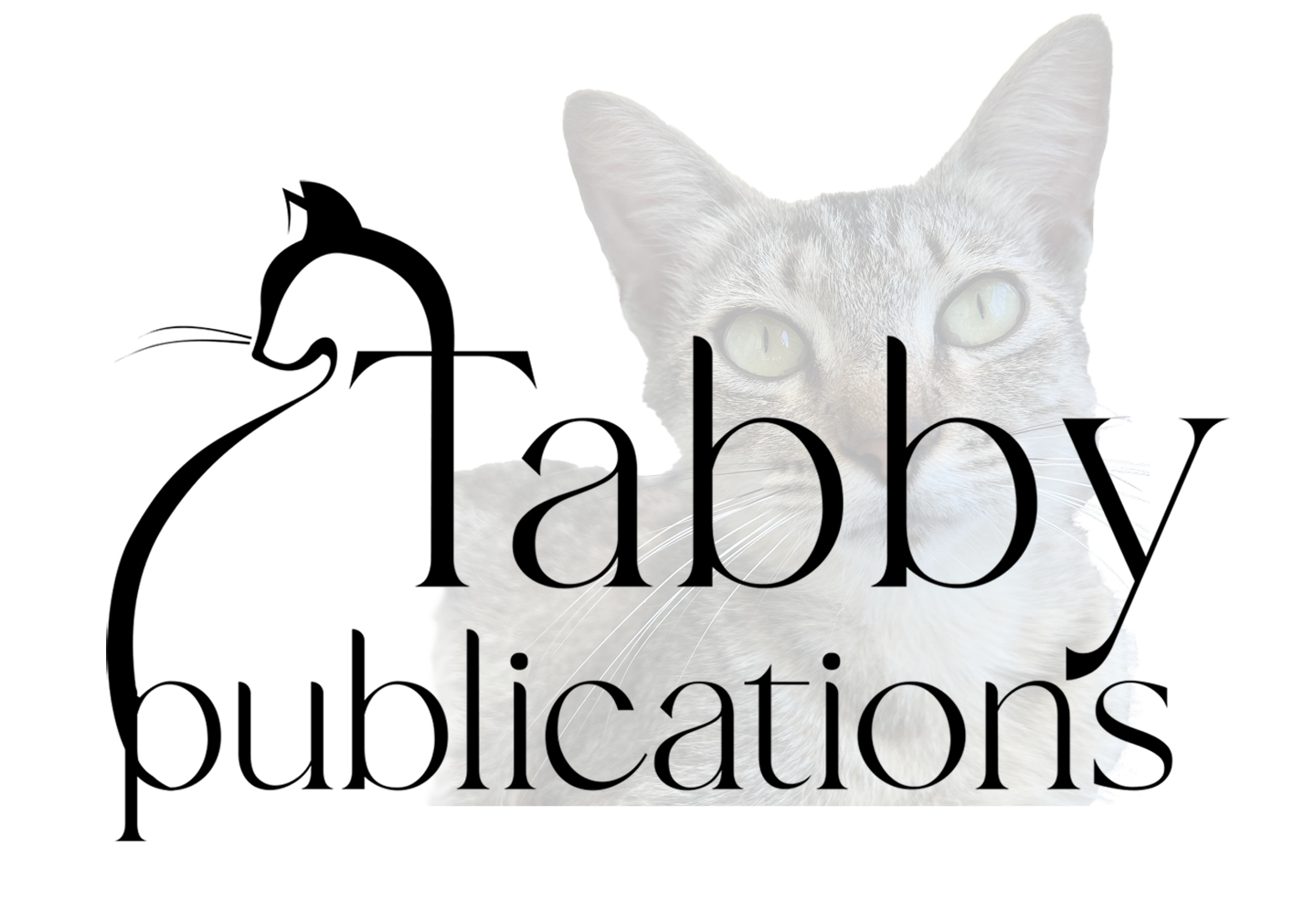 Tabby - large 2